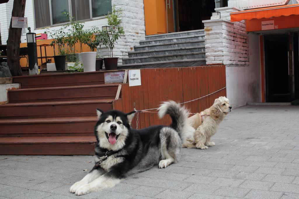Hongdae Orange Guesthouse Seoul Ngoại thất bức ảnh